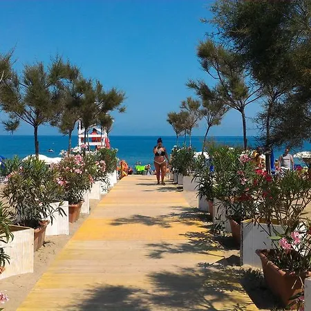 Mare