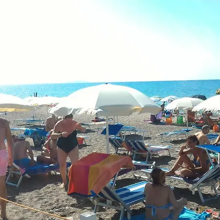 Mare *